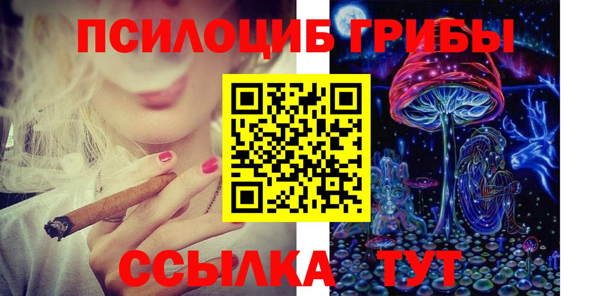 Псилоцибиновые грибы прущие грибы  Вход с VPN  Урус-Мартан 