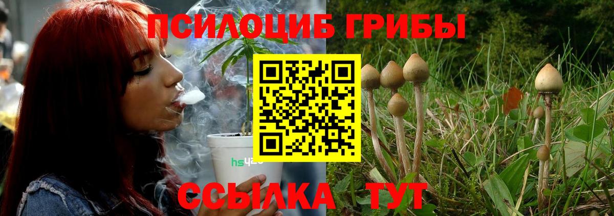 Галлюциногенные грибы ЛСД Урус-Мартан